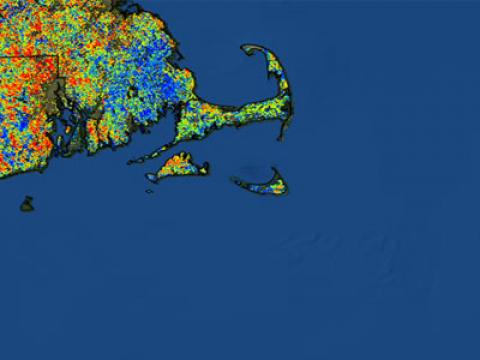 Relative effects of Hurricane Sandy to forests of the Northeast